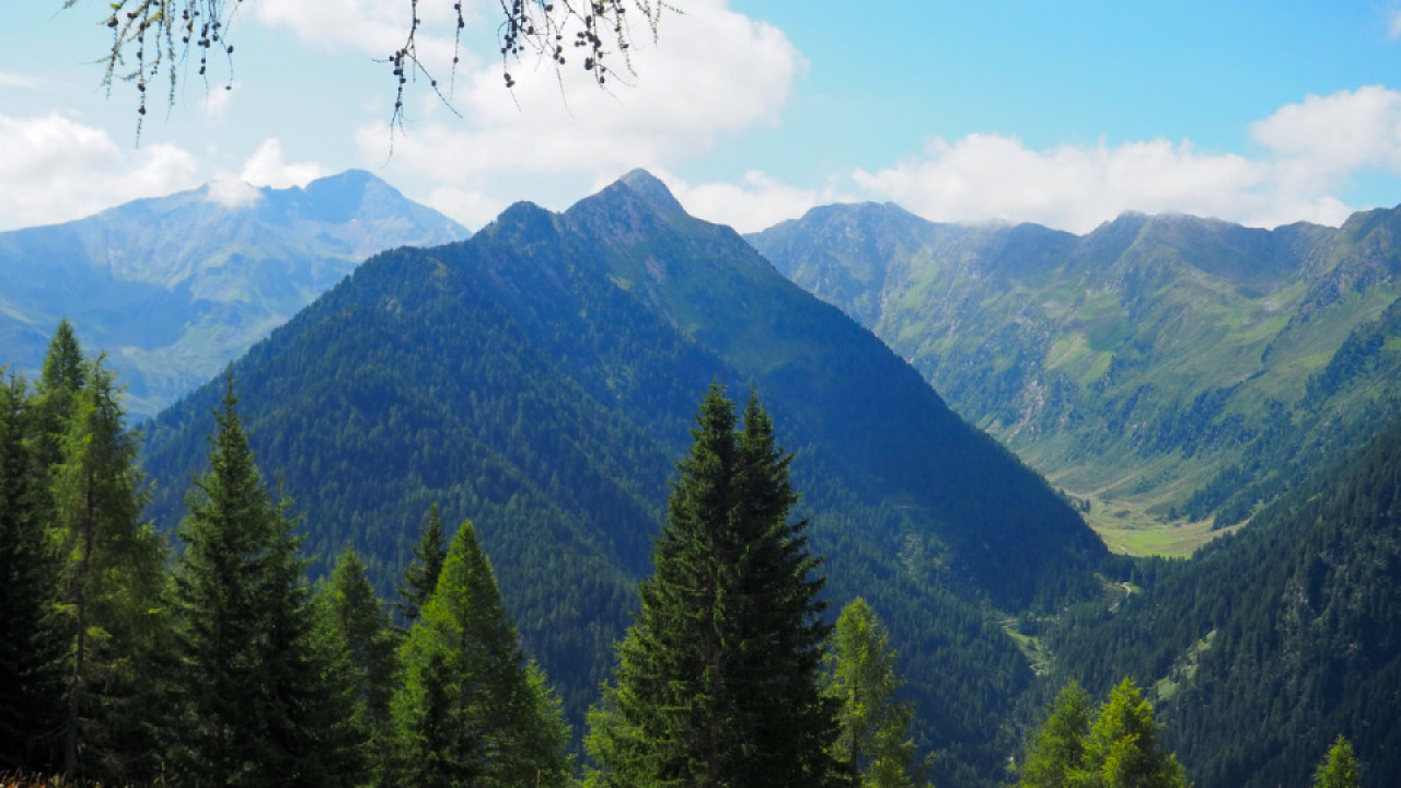 6-blick_zu_den_sarntaler_alpen.jpeg