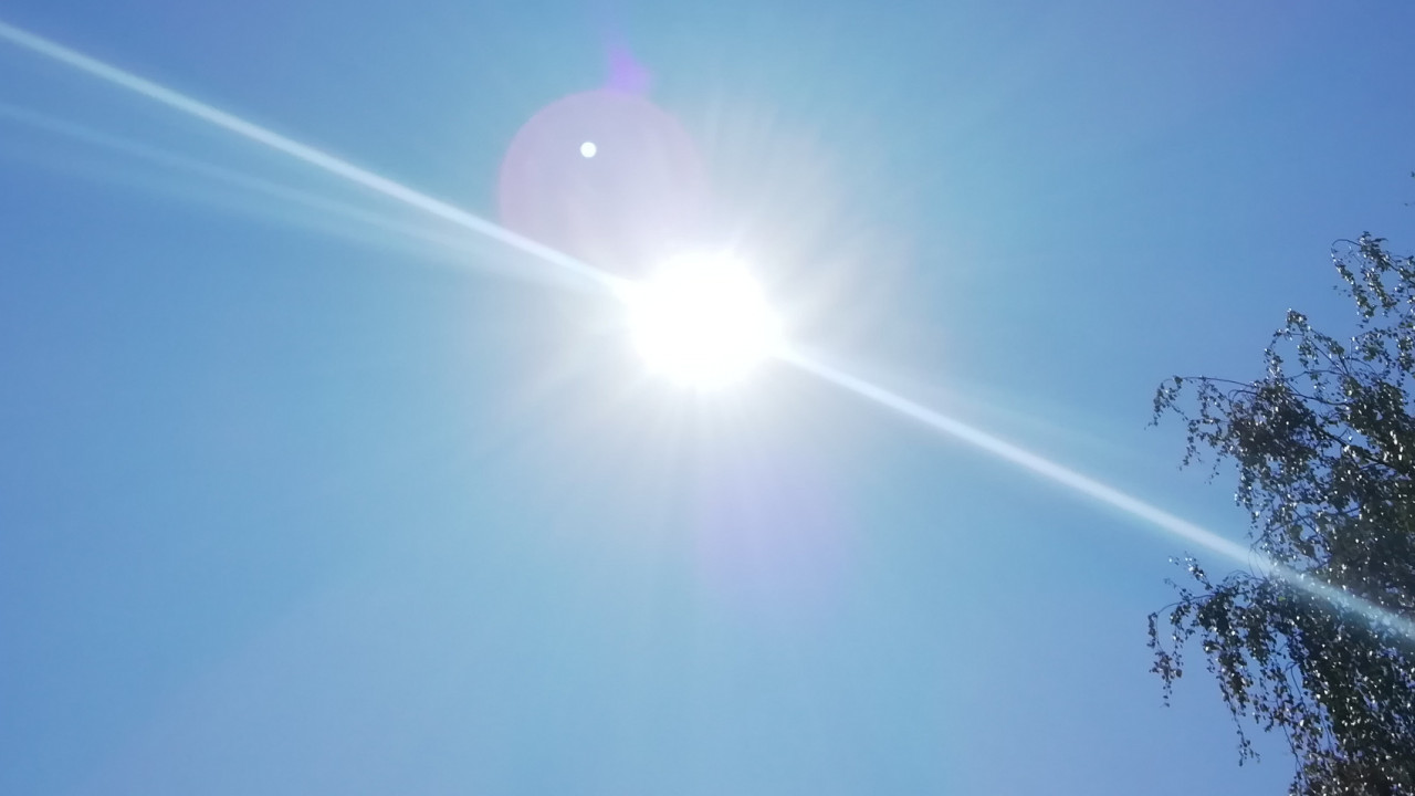 Sole