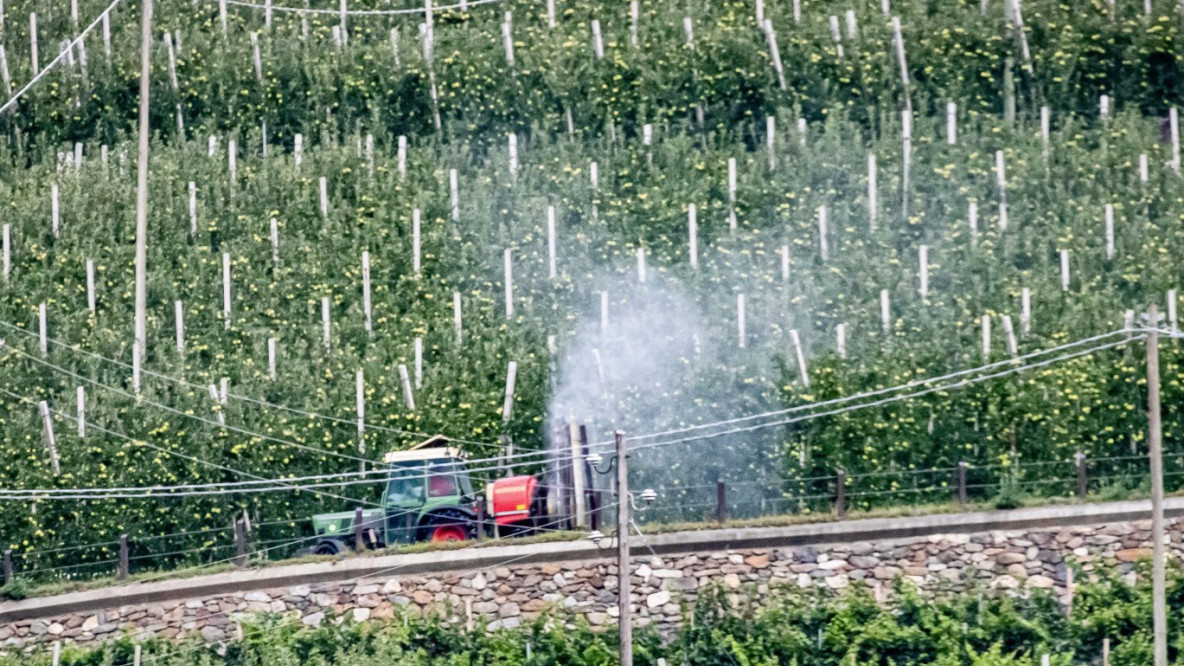 Pestizide, Bauer