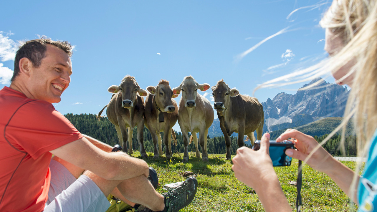 Idm, turismo, Südtirol