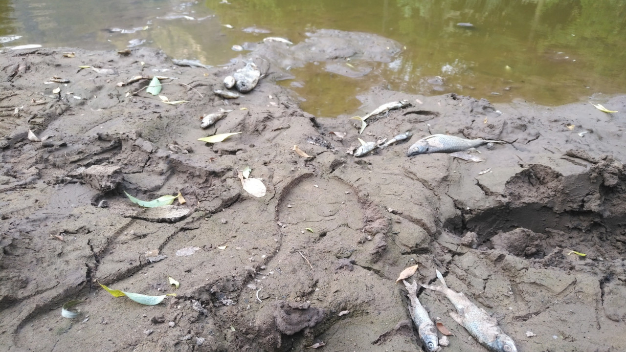 Möltner Bach, Rio di Meltina