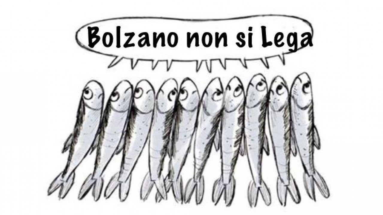 Sardine Bolzano