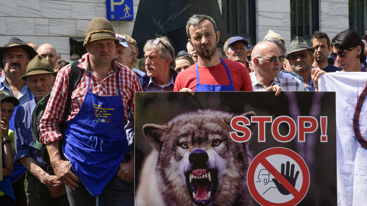 Wolfsprotest 5. Juni