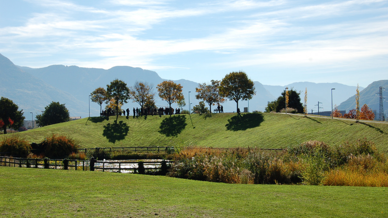 Collina dei saggi