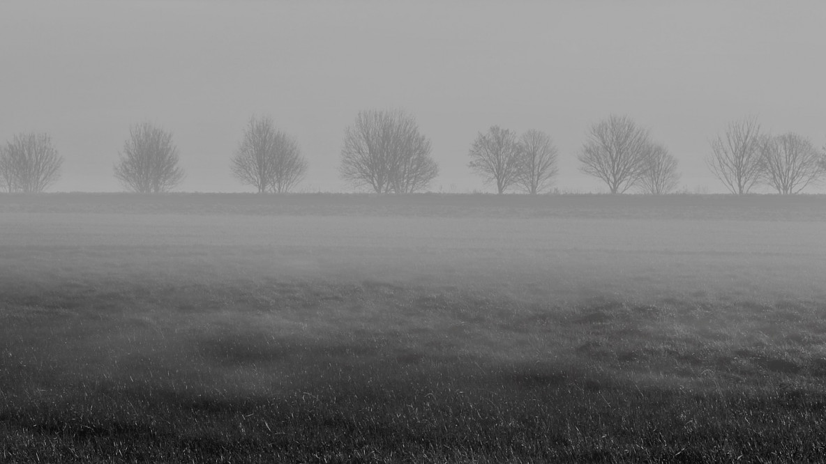 fog-2756456_1920.jpg