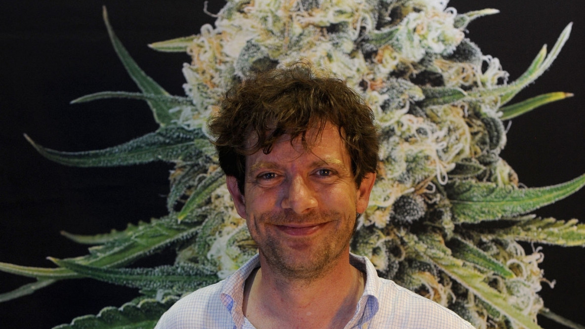 Pippo Civati, cannabis