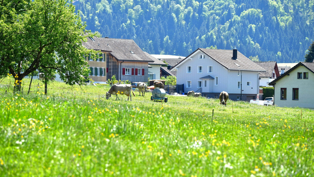 haus_grune_wiese.jpg