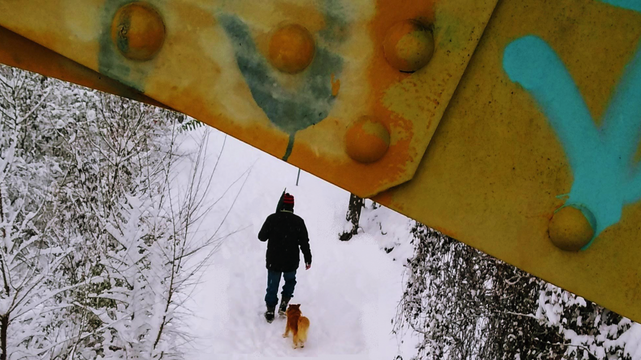 Ponte Giallo a Bolzano