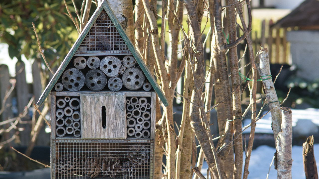 Insektenhotel