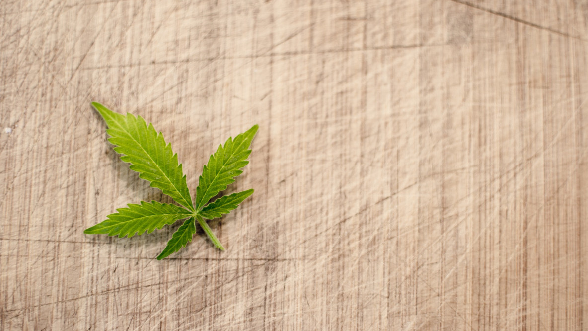 Was passiert nach der Legalisierung von Cannabis?
