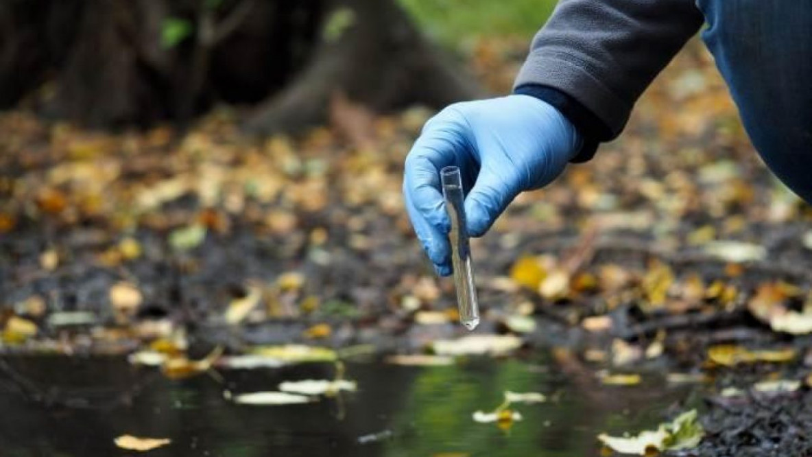 Pesticidi, acqua