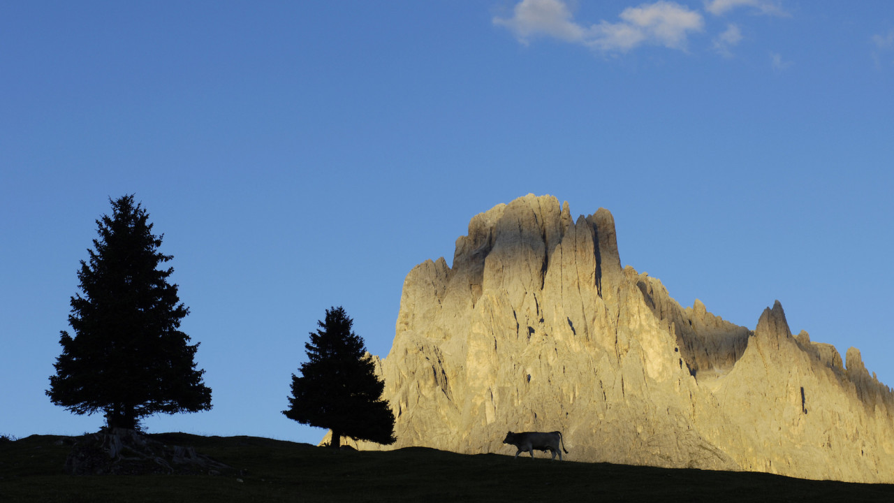 Monte Pana – Langkofel