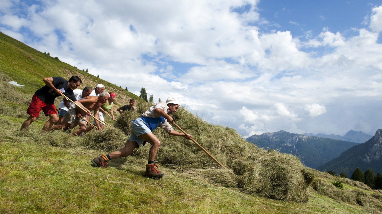 Soziale Landwirtschaft