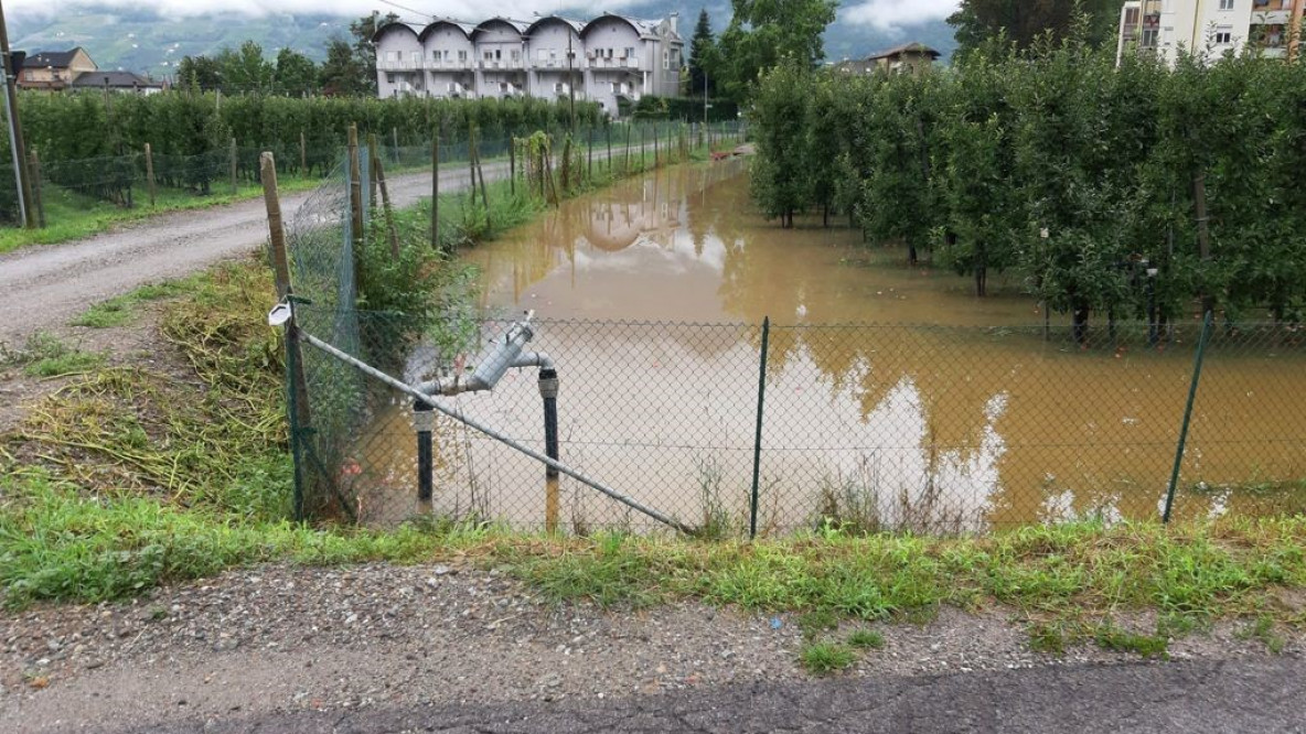 Sinigo acqua nei campi