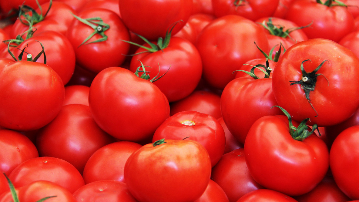 tomato-1235662.jpg