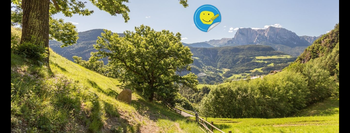 Azienda Di Soggiorno Val Casies
Background