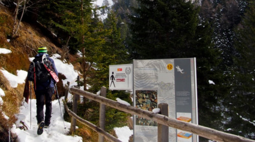 4 Ausflug Bletterbachschlucht 4 Ausflug Bletterbachschlucht
