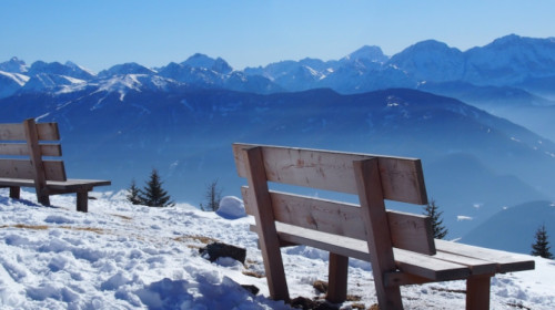 Pertinger Alm Pertinger Alm
