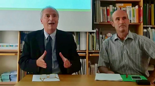 cernigli_andreaus_1.jpg cernigli_andreaus_1.jpg