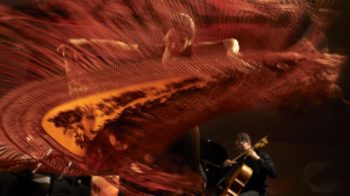 flamenco1 flamenco1