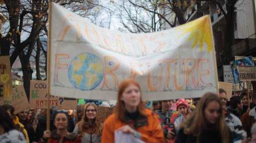 Fridays for Future 29112019