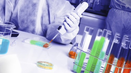 Lab Lab