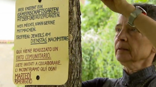 mueller_garten.jpg mueller_garten.jpg