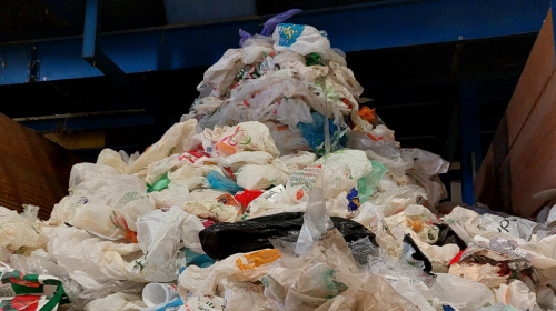Separazione sacchetti bio - rifiuti in plastica