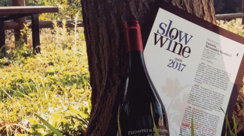 slow-wine-2017-fattoria-nicolucci-1080x675.jpg