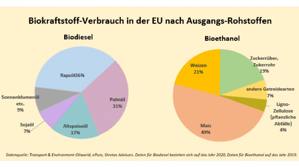 biokraftstoffe_in_der_eu-page-001.jpg