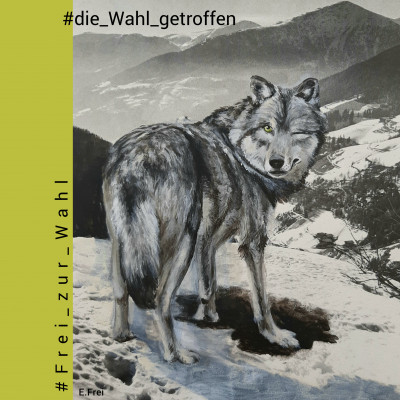 Frei zur Wahl_1 die Wahl getroffen.jpg